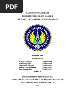 Laporan Praktikum  Cumi Cumi Invetebrata2
