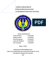 Regulasi Dan Homeostasis Pada Manusia