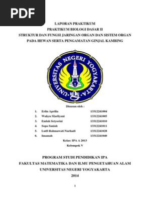 Unduh 400 Gambar Ginjal Kambing Terbaik Gratis HD