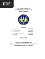 Download Laporan Praktikum Jaringan Hewandocx by Wahyu Marliyani SN231498461 doc pdf