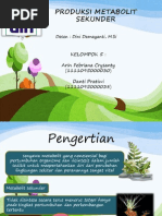 Download Ppt Produksi Metabolit Sekunder by Arin Febriana Crysanty SN231504435 doc pdf
