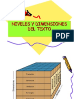 Clase3 Niveles y Dimensiones Del Texto