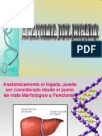 Anatomia Del Higadooi