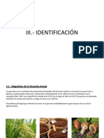 Identificacion-Ana Rosa Paucar Camilo