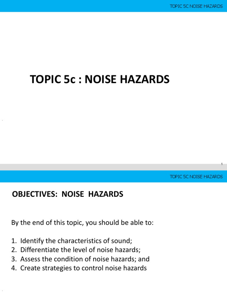 Managing Workplace Noise Hazards | PDF | Noise | Hearing Loss