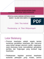 Upaya Promosi Kesehatan Dan Pemberdayaan Masyarakat