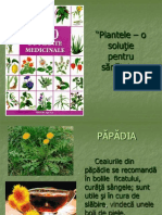 Ppt Plante Medicinale