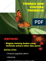 Dinding Thorax'