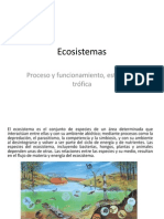 Eco Sistem As