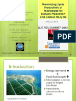 2013-Sue-Reu Project3 Carbon-Sequestration Final-Presentation