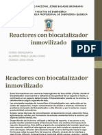 Reactores Con Biocatalizador Inmovilizado
