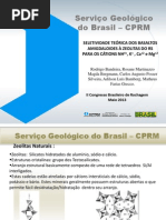 SELETIVIDADE TEÓRICA DOS BASALTOS AMIGDALOIDES À ZEOLITAS DO RS PARA OS CÁTIONS NH4+, K+ , Ca+2