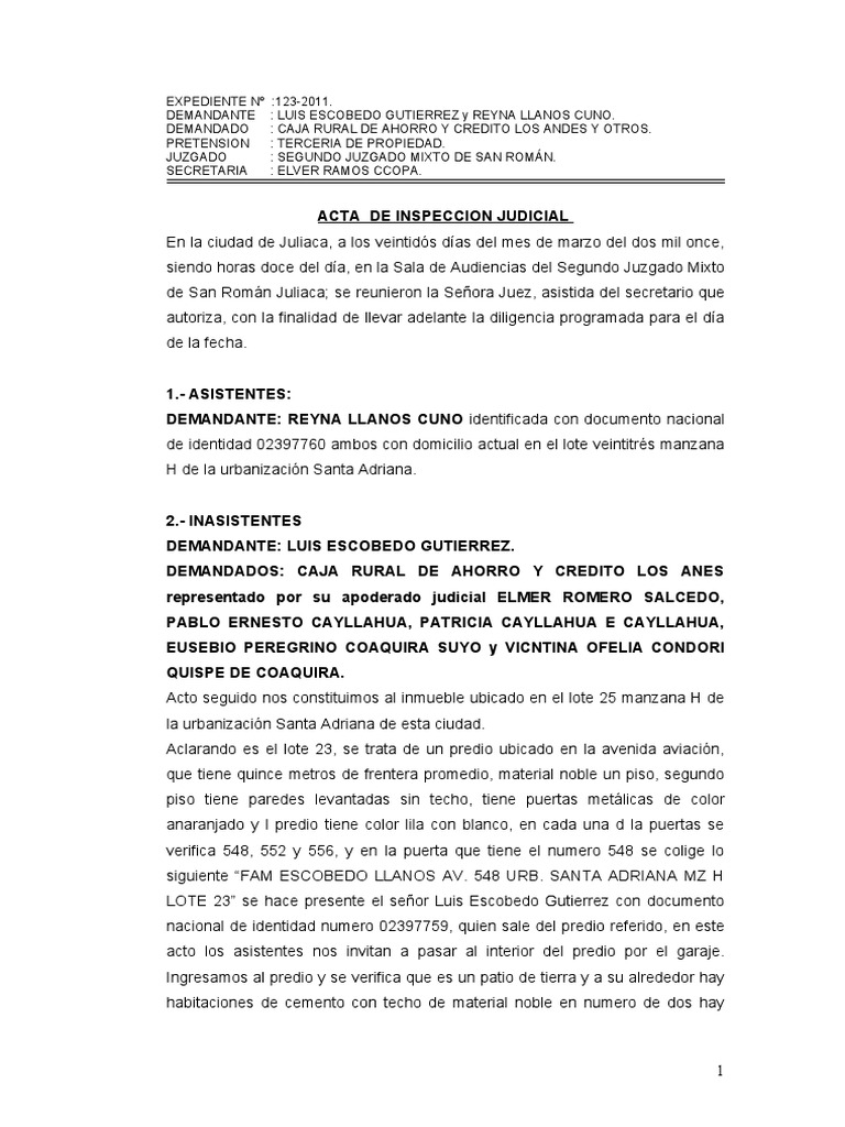Acta de Inspeccion Judicial | PDF | Naturaleza
