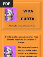 Vida curta