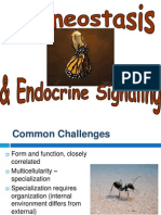 Endocrine