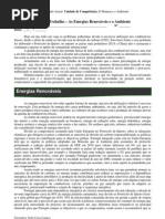 Ficha de Trabalho - As Energias Renováveis e o Ambiente