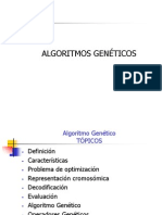 12_Algoritmo_genetico