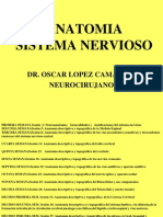 Anatomia Sistema Nervioso1