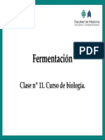 Fermentacion Examen PDF