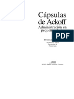 95171523 Capsulas de Ackoff
