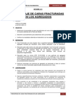 Informe 1 Caras Fracturadas