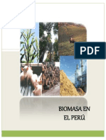 Biomasa en El Perú