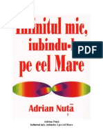 Infinitul Mic Iubindu-l Pe Cel Mare - Adrian Nuta