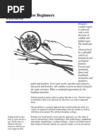 Nature study for beginners