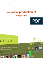 Enzyme Production