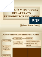 femenino