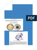 (Biology Form 4) Animal Cell & Plant Cell