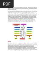 Download REIKI and how it works by api-26172340 SN23171896 doc pdf