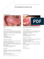 DX Diferencial Patolgia Mucosa Oral
