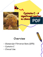 Cystatin C Forforgein2006