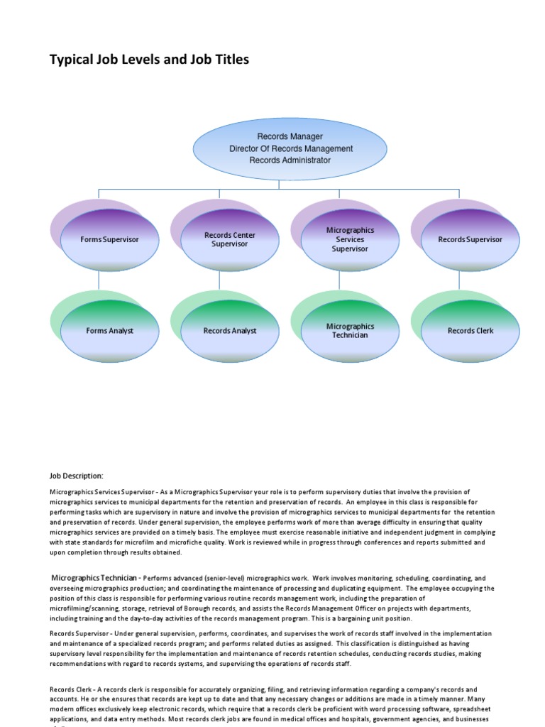 Typical Job Levels and Job Titles (Edit) With Their Duties PDF