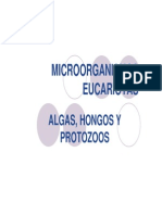 (Microsoft PowerPoint - Algas, Hongos Protozoos