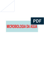 Aula 18. Microbiologia Da Água