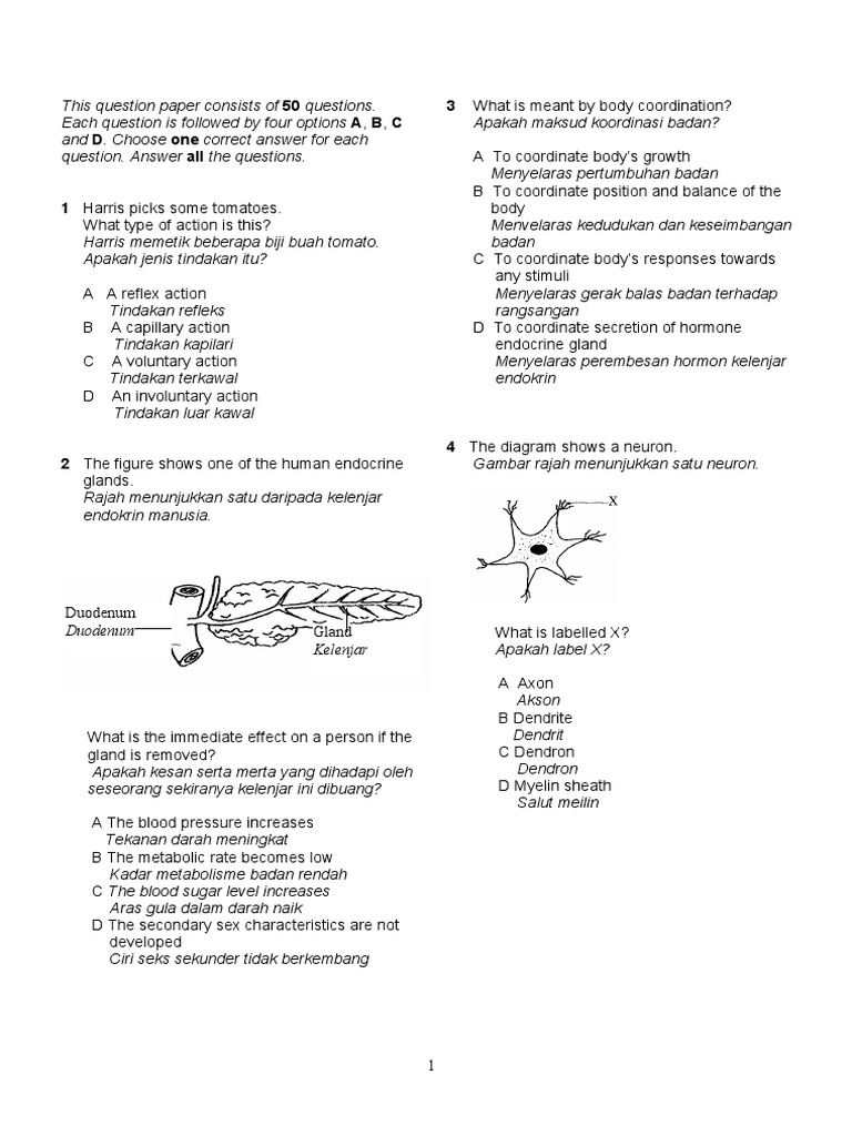 Final exam 2 essay 08 image