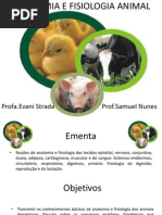 Fisiologia Do Sistema Endócrino