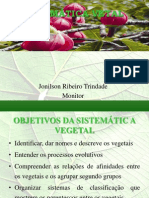 Aula de Revisão Sistemática Vegetal