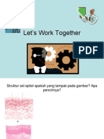 Let’s Work Together-Histologi