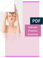 Cuestionario Anato Obstetricia