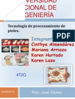 Proceso Tecnologico Del Cuero