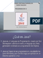 Programacion IV Java