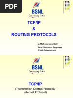 TCP IP Routing Protocols