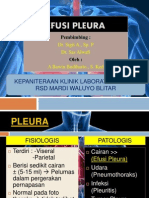 Efusi Pleura2