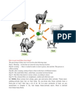 How We Get Wood Fibres From Sheep?: 3.1 WOOL