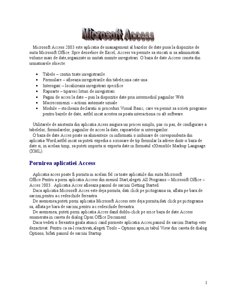Microsoft Access | PDF