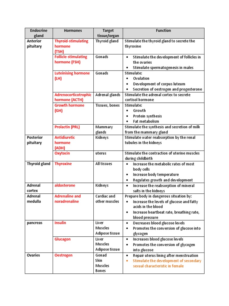 Endocrine Glands and Hormone Functions | PDF | Adrenal Gland | Puberty