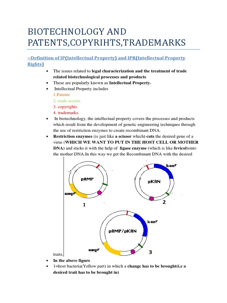 Biotechnology And Trips Pdf Patent Intellectual Property